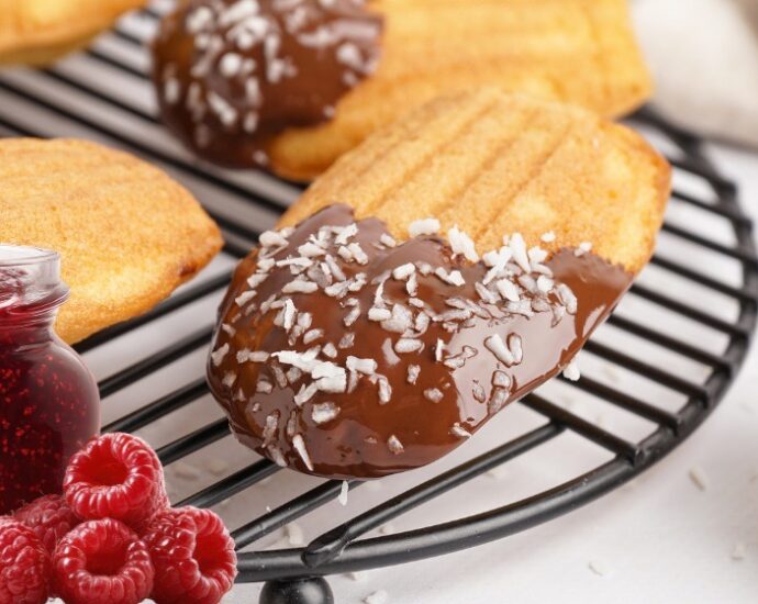 Coco Raspberry Chocolate French Madeleines