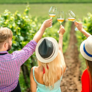 Young people looking at the wine glasses standing back on the vineyard during the wine degustation. Rear view focused on glasses OSPREY BOUTIQUE TRAVEL