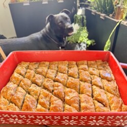 Turkish Baklava
